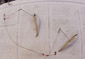 cb3b1a4a6b2c481bead0453a6eb348d9.baited jackfish rig Selecting the Best Dead Bait Rigs for Pike